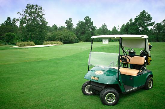 Golf cart on a golf course